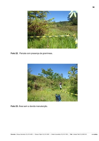 58

Foto 22. Parcela com presença de gramíneas.

Foto 23. Área sem a devida manutenção.

 
