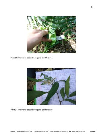 59

Foto 29. Indivíduo cadastrado para identificação.

Foto 31. Indivíduo cadastrado para identificação.

 