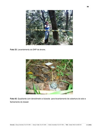60

Foto 33. Levantamento do DAP de árvore.

Foto 43. Quadrante com densiômetro e bússola para levantamento de cobertura do solo e
fechamento do dossel.

 