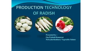 Presented by :
Om Prakash Kumawat
M.Sc.(horticulture) Vegetable Science
 