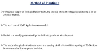 Method of Planting :
For regular supply of fresh and tender roots, the sowing should be staggered and done at 15 or
20 days interval.
The seed rate of 10-12 kg/ha is recommended.
Radish is a usually grown on ridge to facilitate good root development.
The seeds of tropical varieties are sown at a spacing of 45 x 8cm while a spacing of 20-30x8cm
is recommended for temperate varieties.
 