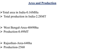 Area and Production
Total area in India-0.16MHa
 Total production in India-2.28MT
 West Bengal-Area-40490ha
 Production-0.49MT
 Rajasthan-Area-640ha
 Production-2560
 