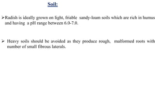 Soil:
Radish is ideally grown on light, friable sandy-loam soils which are rich in humus
and having a pH range between 6.0-7.0.
 Heavy soils should be avoided as they produce rough, malformed roots with
number of small fibrous laterals.
 
