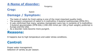 4-Name of disorder:
Pungency
Crop:
Radish
Damage / Symptom:
 The taste of radish for fresh eating is one of the most important quality traits.
 The pungent component of radish is 4-methylthio-3-butenyl isothiocynate (MTB-ITC).
 It was confirmed that many varieties (temperate) were low in contents of 4-methylthio-
3-butenyl glucosinolate (MTB-GSL) (100-200 mmol per 100 g fresh weight) preferred in
Europe and the USA.
 As a disorder roots become more pungent.
Reasons:
It happens due to high temperature and water stress conditions.
Control:
Proper water management.
Selection of variety as per season.
 