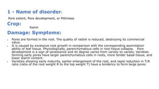 1 - Name of disorder:
Pore extent, Pore development, or Pithiness
Crop:
Radish
Damage: Symptoms:
 Pores are formed in the root. The quality of radish is reduced, destroying its commercial
value.
 It is caused by excessive root growth in comparison with the corresponding assimilation
ability of leaf tissue. Physiologically, parenchymatous cells in root tissue collapse. Pore
development is a sign of senescence and its degree varies from variety to variety. Varieties
forming early pores have larger parenchymatous cells in roots, more tender basal tissue, and
lower starch content.
 Varieties showing early maturity, earlier enlargement of the root, and rapid reduction in T/R
ratio (ratio of the root weight R to the top weight T) have a tendency to form large pores
 