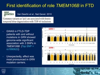 First identification of role TMEM106B in FTD
Van Deerlin et al., Nat Genet. 2010
• GWAS in FTLD-TDP
patients with and without
mutations in GRN showed
genome-wide significant
association with 3 SNPs in
TMEM106B (Top SNP =
rs1990622)
• Unexpectedly, effect was
most pronounced in GRN
mutation carriers.
GRN +
GRN -
 