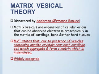 Theories of Mineralisation | PPTX