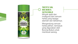Minyak ajaib dan
multiguna dari ramuan
herba yang terjaga
alamiah dan ilahiahnya.
Mengandung ramuan
herba pilihan, termasuk
yang digunakan oleh
Burung Bubut untuk
membuat sarang.
MINYAK
HERBA
SINERGI
 