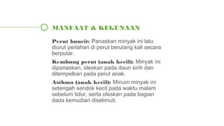 Perut buncit: Panaskan minyak ini lalu
diurut perlahan di perut berulang kali secara
berputar.
Kembung perut (anak kecil): Minyak ini
dipanaskan, oleskan pada daun sirih dan
ditempelkan pada perut anak.
Asthma (anak kecil): Minum minyak ini
setengah sendok kecil pada waktu malam
sebelum tidur, serta oleskan pada bagian
dada kemudian diselimuti.
MANFAAT & KEGUNAAN
 
