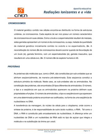 Apostila educativa
                                       Radiações Ionizantes e a vida


CROMOSSOMOS


    O material genético contido nas células encontra-se distribuído na forma de estruturas

    unitárias, os cromossomos. Cada espécie de ser vivo possui um número característico

    de cromossomos em suas células. Como o óvulo e o espermatozóide resultam de meioses,

    estes gametas apresentam um número n de cromossomos, ou seja, metade da quantidade

    de material genético inicialmente contido no ovócito e no espermatócito, 2n. A

    reconstituição do número 2n de cromossomos deverá ocorrer quando da fecundação de

    um óvulo (n), gameta feminino, com um espermatozóide (n), gameta masculino, que

    resultará em uma célula-ovo, 2n. O número 2n da espécie humana é 46.



PROTEÍNAS


    As proteínas são moléculas que, como o DNA, são constituídas por sub-unidades que se

    alinham seqüencialmente, de maneira pré-determinada. Esta seqüencia constitui a

    estrutura primária da molécula. Neste caso, as sub-unidades são os aminoácidos. Na

    constituição das proteínas, são encontrados 20 tipos diferentes de aminoácidos. O número,

    o tipo e a seqüência em que os aminoácidos aparecem na proteína definem suas

    propriedades e funções. O número de aminoácidos, o tipo e a seqüência em que aparecem

    em uma determinada proteína encontram-se codificados, na forma de uma seqüência de

    nucleotídeos no DNA.

    A transferência da mensagem, do núcleo da célula para o citoplasma, onde ocorre a

    síntese da proteína, é de responsabilidade de outro ácido nucléico, o RNA. Tal como o

    DNA, o RNA é constituído pelo encadeamento de nucleotídeos. A diferença entre um

    nucleotídeo de DNA e um nucleotídeo de RNA está no tipo de açúcar que integra a

    molécula e na substituição da timina por uracil.



                               Comissão Nacional de Energia Nuclear
                                                                                   Página 13
                                        www.cnen.gov.br
 