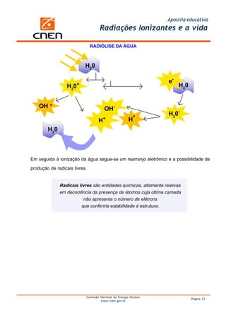 Apostila educativa
                                    Radiações Ionizantes e a vida

                               RADIÓLISE DA ÁGUA



                            H20

                                                                   e-
                  H20   +                                               H20


    OH                                  OH-
                                                                   H20-
                                    H+                  H
        H20



Em seguida à ionização da água segue-se um rearranjo eletrônico e a possibilidade de

produção de radicais livres.


              Radicais livres são entidades químicas, altamente reativas
              em decorrência da presença de átomos cuja última camada
                         não apresenta o número de elétrons
                        que conferiria estabilidade à estrutura.




                            Comissão Nacional de Energia Nuclear
                                                                              Página 23
                                     www.cnen.gov.br
 