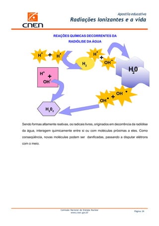 Apostila educativa
                                       Radiações Ionizantes e a vida

                        REAÇÕES QUÍMICAS DECORRENTES DA
                                     RADIÓLISE DA ÁGUA



           H        +     H                                  H
                                                                     +
                                                  H2                     OH
                                                                                        H20
                    +
              H+
                    -
               OH


                                                                              +
                                                                                  OH
                                                                     OH
                   H202


Sendo formas altamente reativas, os radicais livres, originados em decorrência da radiólise

da água, interagem quimicamente entre si ou com moléculas próximas a eles. Como

conseqüência, novas moléculas podem ser danificadas, passando a disputar elétrons

com o meio.




                              Comissão Nacional de Energia Nuclear
                                                                                            Página 24
                                       www.cnen.gov.br
 