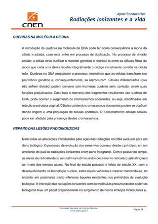 Apostila educativa
                                         Radiações Ionizantes e a vida


QUEBRAS NA MOLÉCULA DE DNA


    A introdução de quebras na molécula de DNA pode ter como conseqüência a morte da

    célula irradiada, caso esta entre em processo de duplicação. No processo de divisão

    celular, a célula deve duplicar o material genético e distribuí-lo entre as células filhas de

    modo que cada uma delas receba integralmente o código inicialmente contido na célula

    mãe. Quebras no DNA prejudicam o processo, impedindo que as células transfiram seu

    patrimônio genético e, conseqüentemente, se reproduzam. Células diferenciadas (que

    não sofrem divisão) podem conviver com inúmeras quebras sem, contudo, terem suas

    funções prejudicadas. Caso haja o rearranjo dos fragmentos resultantes das quebras de

    DNA, pode ocorrer o surgimento de cromossomos aberrantes, ou seja, modificados em

    relação a estrutura original. Células contendo cromossomos aberrantes podem se duplicar

    dando origem a uma população de células anormais. O funcionamento dessas células

    pode ser afetado pela presença destes cromossomos.


REPARO DAS LESÕES RADIOINDUZIDAS


    Nem todas as alterações introduzidas pela ação das radiações no DNA evoluem para um

    dano biológico. O processo de evolução dos seres vivo ocorreu, desde o princípio, em um

    ambiente do qual as radiações ionizantes eram parte integrante. Com o passar do tempo,

    os níveis de radioatividade natural foram diminuindo (decaimento radioativo) até atingirem

    os níveis dos tempos atuais. No final do século passado e início do século XX, com o

    desenvolvimento da tecnologia nuclear, estes níveis voltaram a crescer mantendo-se, no

    entanto, em patamares muito inferiores àqueles existentes nos primórdios da evolução

    biológica. A interação das radiações ionizantes com as moléculas precursoras dos sistemas

    biológicos teve um papel preponderante no surgimento de novos arranjos moleculares e .




                                Comissão Nacional de Energia Nuclear
                                                                                       Página 28
                                         www.cnen.gov.br
 