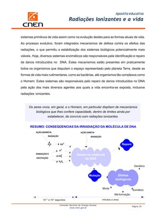 Apostila educativa
                                        Radiações Ionizantes e a vida


sistemas primitivos de vida assim como na evolução destes para as formas atuais de vida.

Ao processo evolutivo, foram integrados mecanismos de defesa contra os efeitos das

radiações, o que permitiu a estabilização dos sistemas biológicos potencialmente mais

viáveis. Hoje, diversos sistemas enzimáticos são responsáveis pela identificação e reparo

de danos introduzidos no DNA. Estes mecanismos estão presentes em praticamente

todos os organismos que disputam o espaço representado pelo planeta Terra, desde as

formas de vida mais rudimentares, como as bactérias, até organismos tão complexos como

o Homem. Estes sistemas são responsáveis pelo reparo de danos introduzidos no DNA

pela ação dos mais diversos agentes aos quais a vida encontra-se exposta, inclusive

radiações ionizantes.



     Os seres vivos, em geral, e o Homem, em particular dispõem de mecanismos
         biológicos que lhes confere capacidade, dentro de limites ainda por
                  estabelecer, de convívio com radiações ionizantes.


      RESUMO: CONSEQÜENCIAS DA IRRADIAÇÃO DA MOLÉCULA DE DNA
          AÇÃO INDIRETA                            AÇÃO DIRETA
                    RADIAÇÃO                                 RADIAÇÃO


                    HO
                        2
                                OH                                                       Reparo

                               H
          IONIZAÇÃO E
                              HO
                                               Danos na molécula
                                                   de DNA
                                2
           EXCITAÇÃO
                               H2O2

                                                                                                    Genético


                                                           Mutação                   Efeitos
                                                                                   biológicos

                                                                        Morte
                                                                                                  Somático
                                                                                  Má-formação

                10-17 a 10-5 segundos                                   minutos a anos

                               Comissão Nacional de Energia Nuclear
                                                                                                  Página 29
                                        www.cnen.gov.br
 
