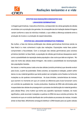 Apostila educativa
                                     Radiações Ionizantes e a vida


                    EFEITOS DAS RADIAÇÕES IONIZANTES NAS

                              LINHAGENS GERMINATIVAS

Linhagens germinativas, masculina e feminina, correspondem às várias gerações de células

envolvidas com a produção dos gametas. As conseqüências da irradiação destas linhagens

variam conforme o sexo do indivíduo irradiado, o que reflete a diferença existente entre a

produção de óvulos e a produção de espermatozóides.


                  EFEITOS NA LINHAGEM GERMINATIVA FEMININA
Na mulher, a fase de intensa proliferação das células germinativas femininas (ainda na

fase fetal) é a mais vulnerável à ação das radiações. Exposições nesta fase podem

comprometer a fecundidade. Com a evolução das células germinativas para ovócitos

primários (também na fase fetal), a população de células germinativas desaparece assim

como a possibilidade de reposição desta população e das outra que dela se originam. No

caso de morte das células desta linhagem, não existe a possibilidade de recomposição

das populações lesadas.

Ao nascer, a menina possui cada uma das células (ovócito primários) que deverão evoluir

para óvulo, a partir da puberdade. Estes ovócitos, se expostos à radiação, podem sofrer

danos no seu material genético que tanto podem ser corrigidos como fixados na forma de

mutações ou de quebras cromossômicas. As duas divisões, características da meiose,

que ocorrem no momento em que um ovócito se diferencia para óvulo funcionam como

um controle da qualidade dos óvulos produzidos. Quebras de DNA são eliminadas pela

incapacidade das células de prosseguirem o processo de distribuição do material genético

para células filhas. Uma mulher que tenha seu aparelho reprodutor irradiado, de modo

significativo, pode acumular mutações e quebras no DNA de seus ovócitos primários. No

momento em que um ovócito danificado der continuidade ao processo de meiose, iniciado

ainda na fase fetal, dificilmente conseguirá distribuir o DNA lesado para as quatro células



                            Comissão Nacional de Energia Nuclear
                                                                                 Página 38
                                     www.cnen.gov.br
 