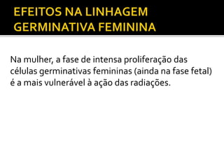 Na mulher, a fase de intensa proliferação das
células germinativas femininas (ainda na fase fetal)
é a mais vulnerável à ação das radiações.
 