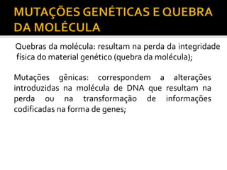 Quebras da molécula: resultam na perda da integridade
física do material genético (quebra da molécula);
Mutações gênicas: correspondem a alterações
introduzidas na molécula de DNA que resultam na
perda ou na transformação de informações
codificadas na forma de genes;
 