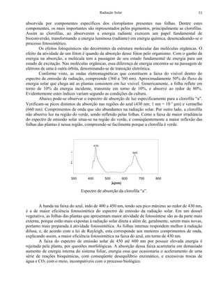 Radiação Solar                                 11

absorvida por componentes específicos dos cloroplastos presentes nas folhas. Dentre estes
componentes, os mais importantes são representados pelos pigmentos, principalmente as clorofilas.
Assim as clorofilas, ao absorverem a energia radiante exercem um papel fundamental de
bioconversão, transformando a energia luminosa (radiante) em energia química, desencadeando-se o
processo fotossintético.
        Os efeitos fotoquímicos são decorrentes da estrutura molecular das moléculas orgânicas. O
efeito da atividade de um fóton é quando da absorção desse fóton pelo organismo. Com o ganho da
energia na absorção, a molécula tem a passagem de seu estado fundamental de energia para um
estado de excitação. Nas moléculas orgânicas, essa diferença de energia encontra-se na passagem de
elétrons de uma à outra órbita, denominando-se de transição eletrônica.
        Conforme visto, as ondas eletromagnéticas que constituem a faixa do visível dentro do
espectro de emissão de radiação, compreende (360 a 760 nm). Aproximadamente 50% do fluxo de
energia solar que chega até as plantas consistem em luz visível. Genericamente, a folha reflete em
torno de 10% da energia incidente, transmite em torno de 10%, e absorve ao redor de 80%.
Evidentemente estes índices variam segundo as condições da cultura.
        Abaixo pode-se observar o espectro de absorção de luz especificamente para a clorofila “a”.
Verificam-se picos distintos de absorção nas regiões do azul (430 nm; 1 nm = 10 -3 µm) e vermelho
(660 nm). Comprimentos de onda que são abundantes na radiação solar. Por outro lado, a clorofila
não absorve luz na região do verde, sendo refletido pelas folhas. Como a faixa de maior irradiância
do espectro de emissão solar situa-se na região do verde, e conseqüentemente a maior reflexão das
folhas das plantas é nessa região, compreende-se facilmente porque a clorofila é verde.



                                             430
                         Absorção




                                                                          660




                         300           400            500           600         700   800
                                                            λ(nm)

                                    Espectro de absorção da clorofila “a”.


        A banda na faixa do azul, indo de 400 a 450 nm, tendo seu pico máximo ao redor de 430 nm,
é a de maior eficiência fotossintética do espectro de emissão da radiação solar. Em um dossel
vegetativo, as folhas das plantas que apresentam maior atividade de fotossíntese são as da parte mais
externa, porque estão mais expostas à radiação solar direta e além de, geralmente, serem mais novas,
portanto mais preparada à atividade fotossintética. As folhas internas respondem melhor à radiação
difusa, e, de acordo com a lei de Rayleigh, esta corresponde aos menores comprimentos de onda,
explicando assim, a maior eficiência fotossintética na faixa do azul, em torno de 430 nm.
        A faixa do espectro de emissão solar de 450 até 600 nm por possuir elevada energia é
rejeitada pela planta, por questões morfológicas. A absorção dessa faixa acarretaria em demasiado
aumento de energia interna do sistema foliar, energia essa que ocasionaria o aceleramento de uma
série de reações bioquímicas, com conseqüente desequilíbrio enzimático, e excessivas trocas de
água e CO2 com o meio, incompatíveis com o processo biológico.
 