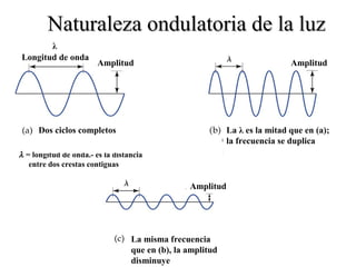 Naturaleza ondulatoria de la luz
       λ
Longitud de onda
                        Amplitud                                             Amplitud




      Dos ciclos completos                                  La λ es la mitad que en (a);
                                                            la frecuencia se duplica
λ = longitud de onda.- es la distancia
   entre dos crestas contiguas

                                                 Amplitud




                                  La misma frecuencia
                                  que en (b), la amplitud
                                  disminuye
 