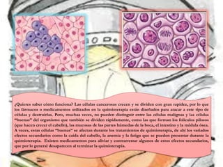 ¿Quieres saber cómo funciona? Las células cancerosas crecen y se dividen con gran rapidez, por lo que
los fármacos o medicamentos utilizados en la quimioterapia están diseñados para atacar a este tipo de
células y destruirlas. Pero, muchas veces, no pueden distinguir entre las células malignas y las células
“buenas” del organismo que también se dividen rápidamente, como las que forman los folículos pilosos
(que hacen crecer el cabello), las mucosas de las partes húmedas de la boca, el intestino y la médula ósea.
A veces, estas células “buenas” se afectan durante los tratamientos de quimioterapia, de ahí los variados
efectos secundarios como la caída del cabello, la anemia y la fatiga que se pueden presentar durante la
quimioterapia. Existen medicamentos para aliviar y contrarrestar algunos de estos efectos secundarios,
que por lo general desaparecen al terminar la quimioterapia.
 