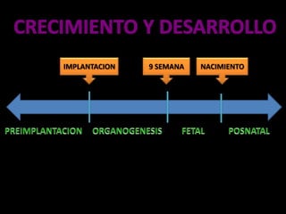 CRECIMIENTO Y DESARROLLOIMPLANTACION9 SEMANANACIMIENTOPREIMPLANTACIONORGANOGENESISFETALPOSNATAL