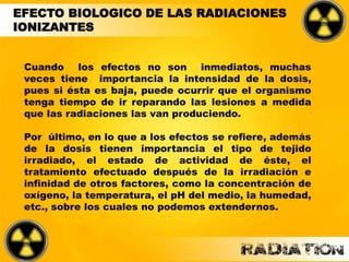 EFECTO BIOLOGICO DE LAS RADIACIONES
IONIZANTES
Cuando los efectos no son inmediatos, muchas
veces tiene importancia la intensidad de la dosis,
pues si ésta es baja, puede ocurrir que el organismo
tenga tiempo de ir reparando las lesiones a medida
que las radiaciones las van produciendo.
Por último, en lo que a los efectos se refiere, además
de la dosis tienen importancia el tipo de tejido
irradiado, el estado de actividad de éste, el
tratamiento efectuado después de la irradiación e
infinidad de otros factores, como la concentración de
oxígeno, la temperatura, el pH del medio, la humedad,
etc., sobre los cuales no podemos extendernos.
 