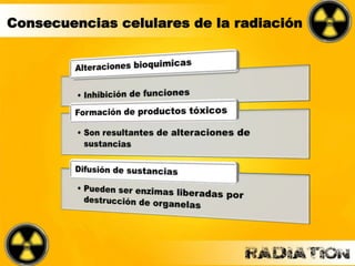 Consecuencias celulares de la radiación
 