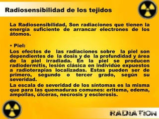 Radiosensibilidad de los tejidos
La Radiosensibilidad, Son radiaciones que tienen la
energía suficiente de arrancar electrones de los
átomos.
• Piel:
Los efectos de las radiaciones sobre la piel son
dependientes de la dosis y de la profundidad y área
de la piel irradiada. En la piel se producen
radiodermitis, lesión clásica en individúe expuestos
a radioterapias localizadas. Estas pueden ser de
primero, segundo o tercer grado, según su
severidad.
La escala de severidad de los síntomas es la misma
que para las quemaduras comunes: eritema, edema,
ampollas, úlceras, necrosis y esclerosis.
 