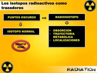 Los isotopos radioactivos como
trazadores
PUNTOS OSCUROS
ISOTOPO NORMAL
RADIOISOTOPO
IDENTIF
ICAN
• OBSORCION
• TRAYECTORIA
METABOLICA
• LOCALIZACIONES
 