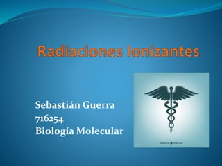 Sebastián Guerra
716254
Biología Molecular
 