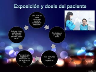 Una R.D. se
suele
comunicar
como la
cantidad de
radiación
Recibida por
un órgano
diana
Mas comunes
la E.
Superficial
Forma simple,
registrar la
exposición un
paciente a los
RX.
Calcular dosis
recibidas por
los órganos
situados cerca
de él.
 