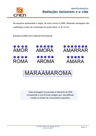 Apostila educativa
Radiações Ionizantes e a vida
Comissão Nacional de Energia Nuclear
www.cnen.gov.br
Página 12
No esquema apresentado a seguir, tal como ocorre no DNA, diferentes mensagens são
codificadas a partir da combinação de quatro letras: A, M, O e R.
Exemplo do DNA como molécula informacional
AMOR AMORA AMARRAR
ROMA AROMA AMARA
1 432 1 432 1 1 42 1 4 41
14 3 2 14 3 21 1 42 1 1
MARAAMAROMA
Cada mensagem incorporada ao filamento do DNA
corresponde a uma formula (código) que, decodificada,
resulta na síntese de uma proteína específica.
 