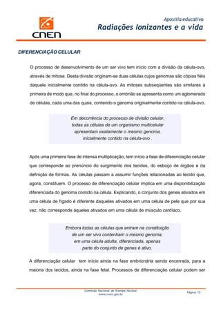 Apostila educativa
Comissão Nacional de Energia Nuclear
www.cnen.gov.br
Página 15
Radiações Ionizantes e a vida
DIFERENCIAÇÃO CELULAR
O processo de desenvolvimento de um ser vivo tem início com a divisão da célula-ovo,
através de mitose. Desta divisão originam-se duas células cujos genomas são cópias fiéis
daquele inicialmente contido na célula-ovo. As mitoses subseqüentes são similares à
primeira de modo que, no final do processo, o embrião se apresenta como um aglomerado
de células, cada uma das quais, contendo o genoma originalmente contido na célula-ovo.
Em decorrência do processo de divisão celular,
todas as células de um organismo multicelular
apresentam exatamente o mesmo genoma,
inicialmente contido na célula-ovo .
Após uma primeira fase de intensa multiplicação, tem início a fase de diferenciação celular
que corresponde ao prenúncio do surgimento dos tecidos, do esboço de órgãos e da
definição de formas. As células passam a assumir funções relacionadas ao tecido que,
agora, constituem. O processo de diferenciação celular implica em uma disponibilização
diferenciada do genoma contido na célula. Explicando, o conjunto dos genes ativados em
uma célula de fígado é diferente daqueles ativados em uma célula de pele que por sua
vez, não corresponde àqueles ativados em uma célula de músculo cardíaco.
Embora todas as células que entram na constituição
de um ser vivo contenham o mesmo genoma,
em uma célula adulta, diferenciada, apenas
parte do conjunto de genes é ativo.
A diferenciação celular tem início ainda na fase embrionária sendo encerrada, para a
maioria dos tecidos, ainda na fase fetal. Processos de diferenciação celular podem ser
 