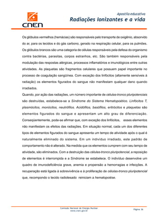 Apostila educativa
Radiações Ionizantes e a vida
Comissão Nacional de Energia Nuclear
www.cnen.gov.br
Página 36
Os glóbulos vermelhos (hemácias) são responsáveis pelo transporte de oxigênio, absorvido
do ar, para os tecidos e do gás carbono, gerado na respiração celular, para os pulmões.
Os glóbulos brancos são uma categoria de células responsáveis pela defesa do organismo
contra bactérias, parasitas, corpos estranhos, etc. São também responsáveis pela
modulação das respostas alérgicas, processos inflamatórios e imunológicos entre outras
atividades. As plaquetas são fragmentos celulares que possuem papel importante no
processo de coagulação sangüínea. Com exceção dos linfócitos (altamente sensíveis à
radiação) os elementos figurados do sangue não manifestam qualquer dano quando
irradiados.
Quando, por ação das radiações, um número importante de células-tronco pluripotenciais
são destruídas, estabelece-se a Síndrome do Sistema Hematopoético. Linfócitos T,
plasmócitos, monócitos, neutrófilos. Acidófilos, basófilos, eritrócitos e plaquetas são
elementos figurados do sangue e apresentam um alto grau de diferenciação.
Conseqüentemente, pode-se afirmar que, com exceção dos linfócitos, esses elementos
não manifestam os efeitos das radiações. Em situação normal, cada um dos diferentes
tipos de elementos figurados do sangue apresenta um tempo de atividade após o qual é
naturalmente eliminado do sistema. Em um indivíduo irradiado, este padrão de
comportamento não é alterado. Na medida que os elementos cumprem com seu tempo de
atividade, são eliminados. Com a destruição das células-tronco pluripotencial, a reposição
de elementos é interrompida e a Síndrome se estabelece. O indivíduo desenvolve um
quadro de imunodeficiência grave, anemia e propensão a hemorragias e infecções. A
recuperação está ligada à sobrevivência e à proliferação de células-tronco pluripotencial
que, recompondo o tecido radiolesado reiniciam a hematopoiése.
 