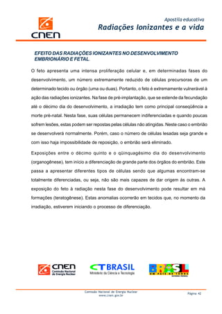 Apostila educativa
Radiações Ionizantes e a vida
Comissão Nacional de Energia Nuclear
www.cnen.gov.br
Página 42
Exposições entre o décimo quinto e o qüinquagésimo dia do desenvolvimento
(organogênese), tem início a diferenciação de grande parte dos órgãos do embrião. Este
passa a apresentar diferentes tipos de células sendo que algumas encontram-se
totalmente diferenciadas, ou seja, não são mais capazes de dar origem às outras. A
exposição do feto à radiação nesta fase do desenvolvimento pode resultar em má
formações (teratogênese). Estas anomalias ocorrerão em tecidos que, no momento da
irradiação, estiverem iniciando o processo de diferenciação.
EFEITO DAS RADIAÇÕES IONIZANTES NO DESENVOLVIMENTO
EMBRIONÁRIO E FETAL.
O feto apresenta uma intensa proliferação celular e, em determinadas fases do
desenvolvimento, um número extremamente reduzido de células precursoras de um
determinado tecido ou órgão (uma ou duas). Portanto, o feto é extremamente vulnerável à
ação das radiações ionizantes. Na fase de pré-implantação, que se estende da fecundação
até o décimo dia do desenvolvimento, a irradiação tem como principal conseqüência a
morte pré-natal. Nesta fase, suas células permanecem indiferenciadas e quando poucas
sofrem lesões, estas podem ser repostas pelas células não atingidas. Neste caso o embrião
se desenvolverá normalmente. Porém, caso o número de células lesadas seja grande e
com isso haja impossibilidade de reposição, o embrião será eliminado.
 