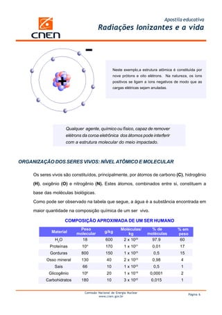 Apostila educativa
Radiações Ionizantes e a vida
Comissão Nacional de Energia Nuclear
www.cnen.gov.br
Página 6
Neste exemplo,a estrutura atômica é constituída por
nove prótons e oito elétrons. Na natureza, os íons
positivos se ligam a íons negativos de modo que as
cargas elétricas sejam anuladas.
Qualquer agente, químico ou físico, capaz de remover
elétrons da coroa eletrônica dos átomos pode interferir
com a estrutura molecular do meio impactado.
ORGANIZAÇÃO DOS SERES VIVOS: NÍVEL ATÔMICO E MOLECULAR
Os seres vivos são constituídos, principalmente, por átomos de carbono (C), hidrogênio
(H), oxigênio (O) e nitrogênio (N). Estes átomos, combinados entre si, constituem a
base das moléculas biológicas.
Como pode ser observado na tabela que segue, a água é a substância encontrada em
maior quantidade na composição química de um ser vivo.
COMPOSIÇÃO APROXIMADA DE UM SER HUMANO
H2
O
Proteínas
Gorduras
Osso mineral
Sais
Glicogênio
Carbohidratos
18
104
800
130
66
106
180
600
170
150
40
10
20
10
2 x 1025
1 x 1021
1 x 1023
2 x 1023
1 x 1023
1 x 1019
3 x 1022
97.9
0,01
0,5
0,98
0,5
0,0001
0,015
60
17
15
4
1
2
1
Material
Peso
molecular g/kg
Moléculas/
kg
% de
moléculas
% em
peso
 