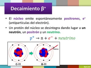 Decaimiento β+
• El núcleo emite espontáneamente positrones, e+
(antipartículas del electrón).
• Un protón del núcleo se desintegra dando lugar a un
neutrón, un positrón y un neutrino.
 