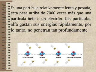 Es una partícula relativamente lenta y pesada,
ésta pesa arriba de 7000 veces más que una
partícula beta o un electrón.. Las partículas
alfa gastan sus energías rápidamente, por
lo tanto, no penetran tan profundamente.
 