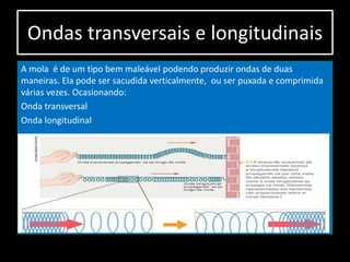 Ondas transversais e longitudinais
A mola é de um tipo bem maleável podendo produzir ondas de duas
maneiras. Ela pode ser sacudida verticalmente, ou ser puxada e comprimida
várias vezes. Ocasionando:
Onda transversal
Onda longitudinal
 