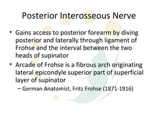 Posterior Interosseous Nerve
• Gains access to posterior forearm by diving
  posterior and laterally through ligament of
  Frohse and the interval between the two
  heads of supinator
• Arcade of Frohse is a fibrous arch originating
  lateral epicondyle superior part of superficial
  layer of supinator
  – German Anatomist, Fritz Frohse (1871-1916)
 