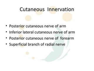 Cutaneous Innervation

•   Posterior cutaneous nerve of arm
•   Inferior lateral cutaneous nerve of arm
•   Posterior cutaneous nerve of forearm
•   Superficial branch of radial nerve
 