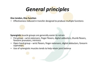 General principles
One tendon, One function
– Effectiveness reduced in transfer designed to produce multiple functions




Synergistic muscle groups are generally easier to retrain
– Fist group – wrist extensors, finger flexors, digital adductors, thumb flexors,
   forearm pronators, intrinsics
– Open hand group – wrist flexors, finger extensors, digital abductors, forearm
   supinators
– Use of synergistic muscles tends to help retain joint balance
 