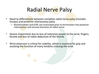 Radial Nerve Palsy
•   Need to differentiate between complete radial nerve palsy (includes
    triceps) and posterior interosseous palsy
     – Brachioradialis and ECRL are innervated prior to termination into posterior
       interosseous and sensory branches of radial nerve

•   Severe impairment due to loss of extension power to the wrist, fingers,
    thumb and loss of radial abduction of the thumb

•   Wrist extension is critical for stability, which is essential for grip and
    assisting the function of many tendons crossing the wrist
 