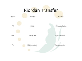 Riordan Transfer
Donor        Insertion         Function




 PT          ECRB          Wrist dorsiflexion




FCU       EDC IF - LF     Finger extension




 PL      EPL (rerouted)   Thumb extension
 