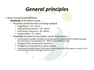 General principles
4. Donor muscle factors (APOSLE)
    Amplitude of the donor muscle
    – Should be matched to the unit being replaced
         •   Finger flexors ≈ 60 - 70mm,
         •   finger extensors and EPL ≈ 40 - 50mm,
         •   wrist flexors / extensors ≈ 30 - 40mm,
         •   brachioradialis ≈ 20 - 30mm
    – Amplitude of motion of any tendon can be increased by :-
         • Increasing the number of joints its crosses eg the amplitude of a tendon crossing
           the wrist joint is increased by 20 – 30mm by full ROM of wrist
         • Tenodesis effect during active movement
         • Freeing fascial attachments to donor tendons
         • Inserting the tendon closer to the joint being moved, but this requires a motor unit of
             increased power (due to leverage); and vice versa
 
