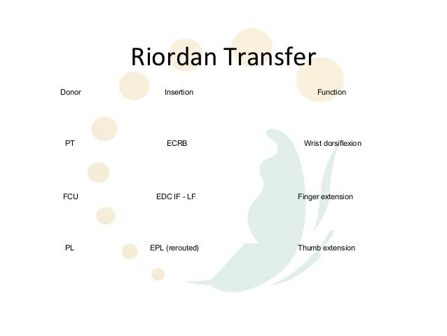 Radial Nerve palsy tendon transfers
