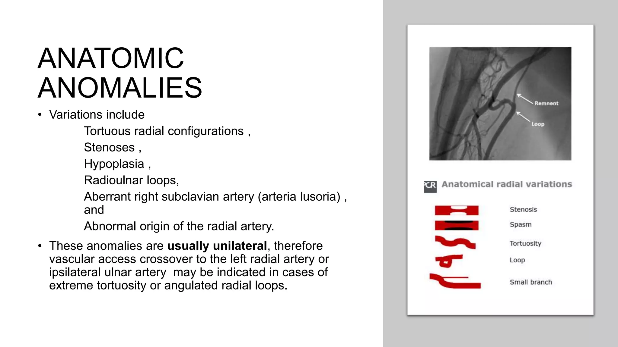 ANATOMIC
ANOMALIES
• Variations include
Tortuous radial configurations ,
Stenoses ,
Hypoplasia ,
Radioulnar loops,
Aberrant right subclavian artery (arteria lusoria) ,
and
Abnormal origin of the radial artery.
• These anomalies are usually unilateral, therefore
vascular access crossover to the left radial artery or
ipsilateral ulnar artery may be indicated in cases of
extreme tortuosity or angulated radial loops.
 