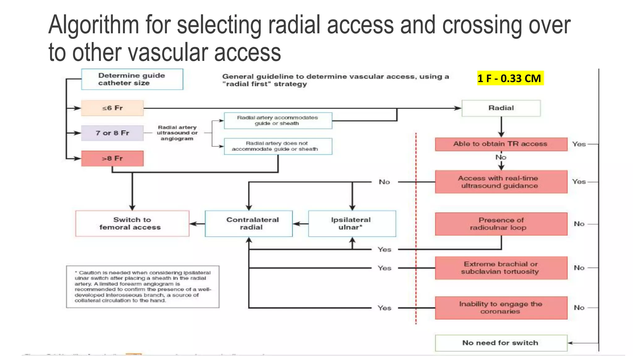 Algorithm for selecting radial access and crossing over
to other vascular access
1 F - 0.33 CM
 