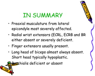 IN SUMMARY Preaxial musculature from lateral epicondyle most severely affected. Radial wrist extensors (ECRL, ECRB and BR either absent or severely deficient. Finger extensors usually present. Long head of biceps almost always absent. Short head typically hypoplastic. Brachialis deficient or absent 