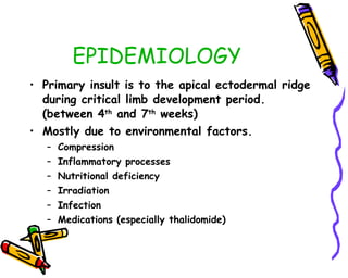 EPIDEMIOLOGY Primary insult is to the apical ectodermal ridge during critical limb development period. (between 4 th  and 7 th  weeks) Mostly due to environmental factors. Compression Inflammatory processes Nutritional deficiency Irradiation Infection Medications (especially thalidomide) 